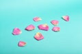 Pink rose petals on blue Royalty Free Stock Photo