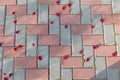 Pink rose petals on a brick floor Royalty Free Stock Photo