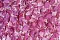 Pink rose petals. Floral background. Ingredients for natural cosmetics. Top view, soft focus Royalty Free Stock Photo