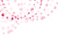 Pink rose petals is flying in the air with flares vector card Royalty Free Stock Photo