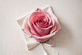 Pink rose petals forming a ribbon on a white canvas