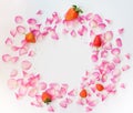 A frame made of pink rose petals, sugar stars, strawberries on w Royalty Free Stock Photo