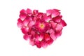 Pink rose petals heart shape formation