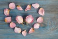 Pink rose petals imaging heart shape with two flower heads inside on blue wooden board Royalty Free Stock Photo