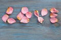 Pink rose petals imaging word love on blue wooden board Royalty Free Stock Photo