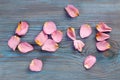 Pink rose petals imaging word love and others Royalty Free Stock Photo
