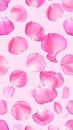 Pink Rose Petals Pattern Background Royalty Free Stock Photo