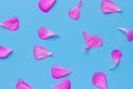 Pink rose petals. Valentine's day background. Royalty Free Stock Photo