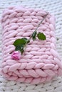 Pink rose on the pink blanket Royalty Free Stock Photo