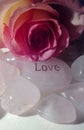 Pink Rose Quartz Crystals with Pink Rose Royalty Free Stock Photo