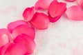 Pink rose on rose petals and bath salt Royalty Free Stock Photo