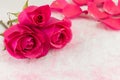 Pink rose on rose petals and bath salt Royalty Free Stock Photo