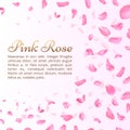 Pink rose or sakura falling petals. Elegant romantic vector background