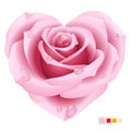 Pink Rose in the shape of heart Royalty Free Stock Photo