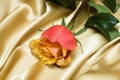 Pink rose on silk Royalty Free Stock Photo