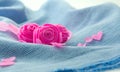 Pink rose and small hart on blue cloth background