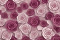 Pink rose wallpaper background wedding. Purple flora plant geometric banner graphic