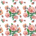 Pink rose, watercolor, pattern seamless Royalty Free Stock Photo