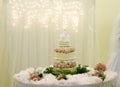 Pink rose wedding cake Royalty Free Stock Photo