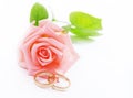 Pink Rose & Wedding rings
