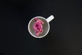 Pink rose in a white cup on black background Royalty Free Stock Photo