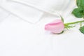 Pink rose on white towel Royalty Free Stock Photo