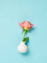 Pink rose in white vase on blue background Royalty Free Stock Photo