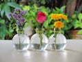 Pink rose, yellow chrysanthemum and Purple Margaret flower in bottles vases Royalty Free Stock Photo