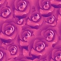 Pink roses abstract seamless pattern