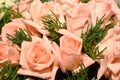 Pink roses