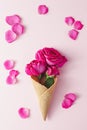 Pink Roses On Pink Background