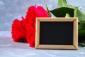 Pink roses with a blank chalkboard for text. Copy space for text. Template for March 8, Mother's Day, Valentine's Day. Royalty Free Stock Photo