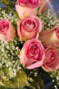 Pink roses bouquet Royalty Free Stock Photo