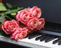 Pink roses bouquet on digital piano keys Royalty Free Stock Photo