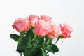 Pink roses bouquet, white background Royalty Free Stock Photo