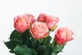 Pink roses bouquet, white background Royalty Free Stock Photo