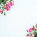 Pink roses and buds on blue background. Flat lay, Top view. Woman`s day background Royalty Free Stock Photo