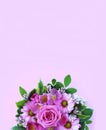 Pink Roses And Chrysanthemums On A Pink Background. Festive Flower Arrangement.