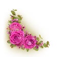 Pink roses, eucalyptus green leaves and chamelaucium flowers in a corner floral arrangement Royalty Free Stock Photo