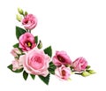 Pink roses and eustoma flowers and buds in a floral corner arrangement Royalty Free Stock Photo