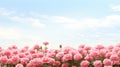 Pink Roses In The Field With Sky Clouds - Hiroshi Nagai Style