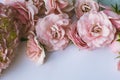 Pink roses flower border soft background for valentine Royalty Free Stock Photo
