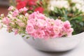 Pink roses flower bouquet for decorationg Royalty Free Stock Photo