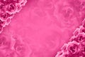 Pink roses flower is placed in the top left and bottom right corners on blur pink roses flower background, template, banner, name