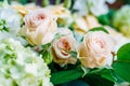 Pink Roses Flower Wedding Bouquet Royalty Free Stock Photo