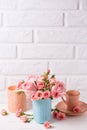 Pink roses flowers in blue cup, burning candle and little cup Royalty Free Stock Photo