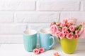 Pink roses flowers and bright blue cups against white brick wa Royalty Free Stock Photo