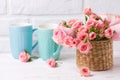 Pink roses flowers and colorful blue cups against white brick w Royalty Free Stock Photo