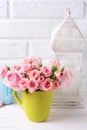 Pink roses flowers in green cup against white brick wall. Royalty Free Stock Photo