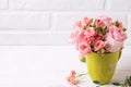 Pink roses flowers in green cup against white brick wall. Royalty Free Stock Photo